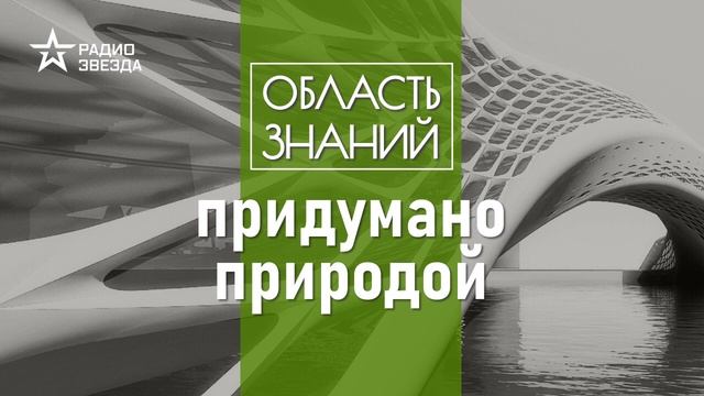 Как и зачем человек «ворует» изобретения природы? Лекции зоолога Ильи Гомыранова