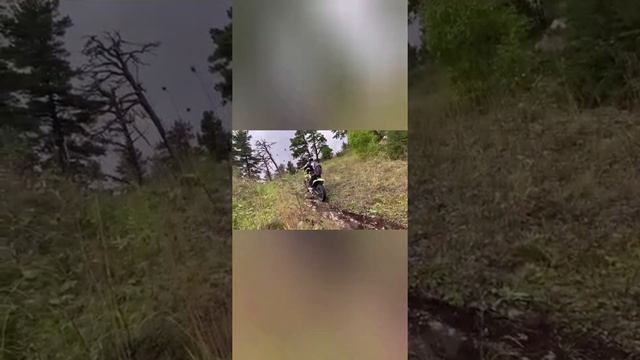 Витя покажет короткую дорогу ? Нефантазируй, маклай . смотреть онлайн