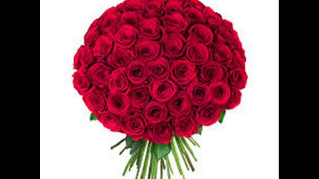 красные розы _(begzod abdilazizov) смотреть онлайн