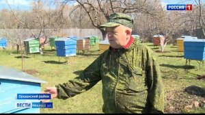 Пчеловод из Марий Эл рассказал, как перезимовали пчелиные семьи