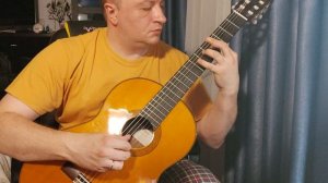 №167. Этюд Op. 100 № 5, М.Джулиани | Школа Агафошина