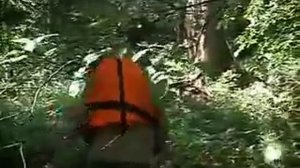 Город Советск Кировская область