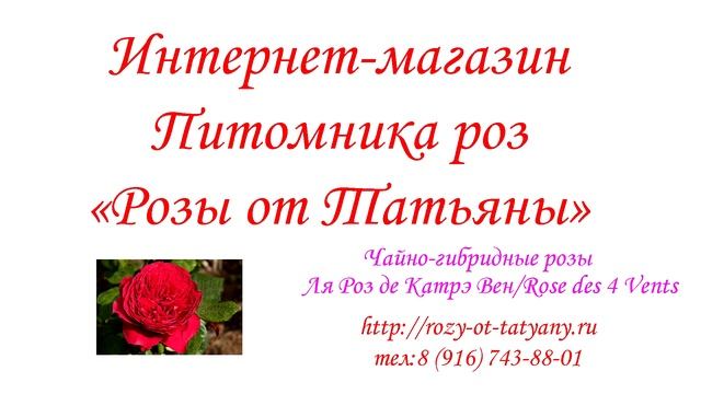 Ля Роз де Катрэ Вен/Rose des 4 Vents - питомник роз "Розы от Татьяны" смотреть онлайн