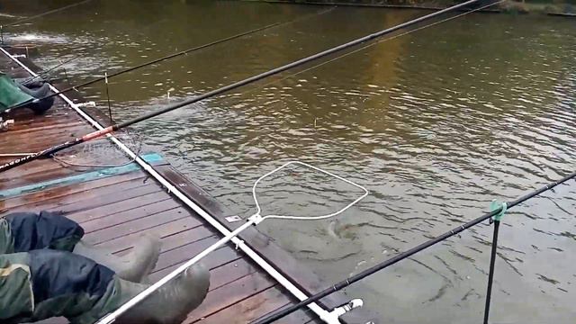 Поимка форели на резину либра смотреть онлайн