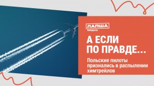 В ПОЛЬШЕ ПРИЗНАЛИСЬ В РАСПЫЛЕНИИ ХИМТРЕЙЛОВ I С САМОЛЕТОВ РАСПЫЛЯЮТ ХИМИКАТЫ I РАЗБОР ФЕЙКА