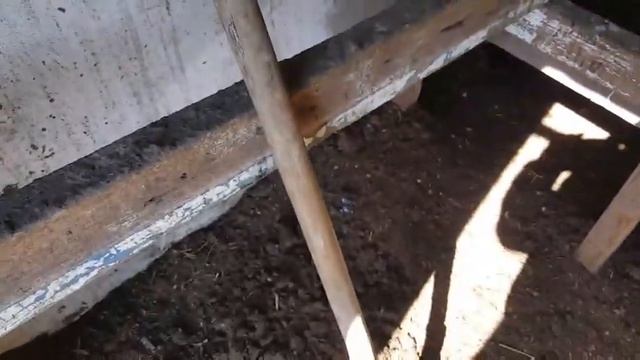 КАК ОБУСТРОИТЬ КУРЯТНИК