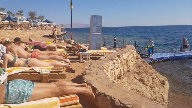 Египет в январе. Шарм эль шейх 2023 год. Красное море. Пляж. Египет сегодня.