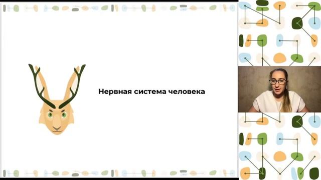 Вопросы и ответы. Подготовка к муниципальному этапу Всероссийской олимпиады по биологии смотреть онлайн