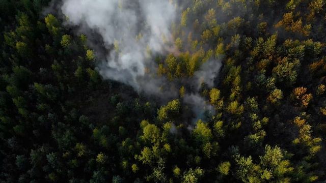 Пожар в Сертолово. Недалеко от ЖК Новое Сертолово и Сертолово-2