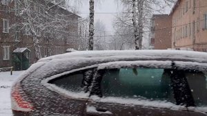 Ясная Поляна. Декабрь 2023 год.