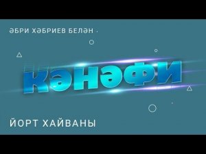 Кәнәфи: йорт хайваны / Домашние животные / Кызыклы җаваплар / Әбри Хәбриев