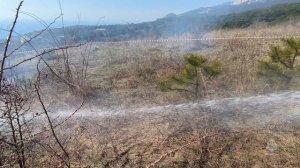 ПТУ в заповедном Крыму Алупкинского лесничества