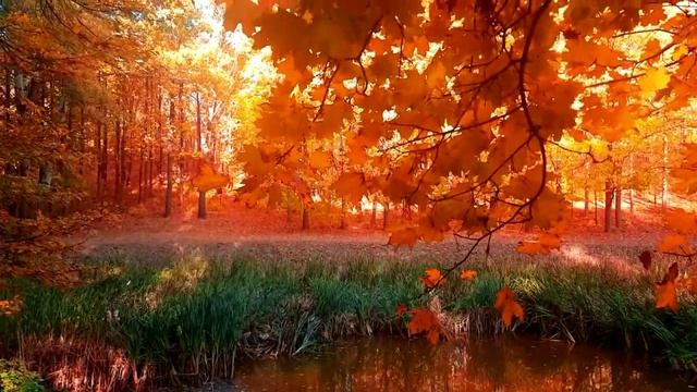 Вот и осень....mp4 смотреть онлайн