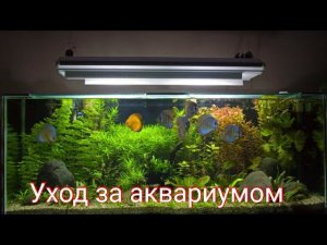 Уход за аквариумом, подмена воды в аквариуме.