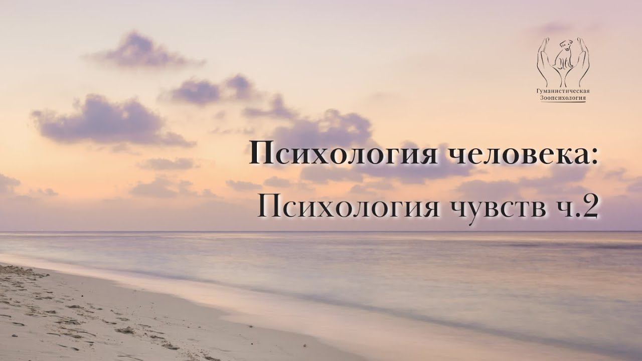 Психология чувств. Часть вторая смотреть онлайн