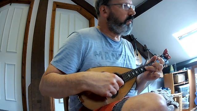Italian Mazurka: "La Tenerezza" (A. Quintavale, 1920), mandolins & guitar смотреть онлайн