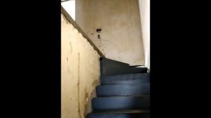 дуплекс новосадовый