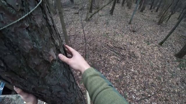 Живу один в доме под землей в Чернобыле. Готовлюсь строить домик на дереве. Выживание в лесу смотреть онлайн