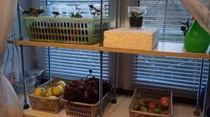 СУПЕР СТЕЛЛАЖ НА ОКНО... СОБИРАЕТСЯ ЗА ПОЛ-ЧАСА