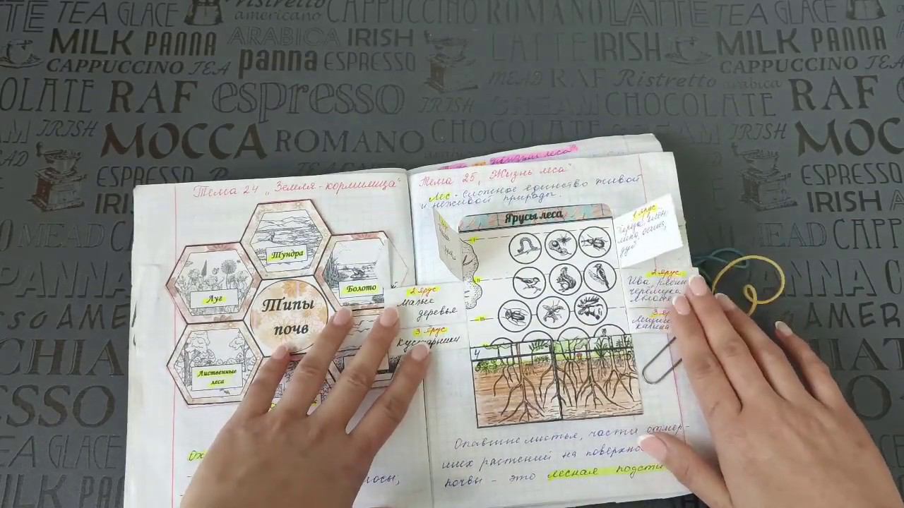 Беловолова Анастасия, интерактивные тетради, Мастерская интерактивных тетрадей, Отзыв участника смотреть онлайн