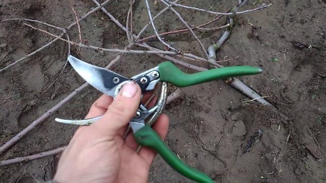 КАК ВЫБРАТЬ СЕКАТОР САДОВЫЙ? ВАЖНЫЕ СОВЕТЫ!
