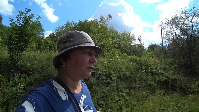 Пошли за ягодами 23 июля 2023 смотреть онлайн