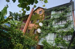 Отдых в Лазаревском в центре. Жилье для отдыха в Лазаревке недорого. «Александр» мини-гостиница