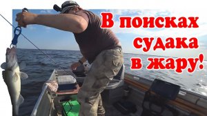 Ловля Судака на Волге ▶ Fishing | #Vovabeer