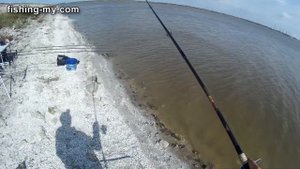 Ловля карпа в октябре осень 2017