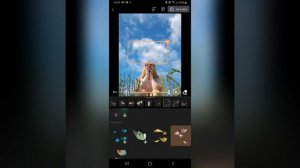 Как сделать Анимированное фото на телефоне