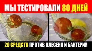 Прошло 80 дней. Тест 20 средств против плесени и бактерий. Помидоры На Зиму