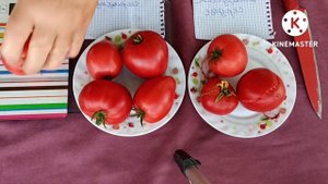 Сибирь. Обзор и дегустация томатов Белорусское сердце и Сахарная гирлянда.