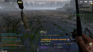 Fisher Online ПЕЧОРА. ГОЛЬЯН ОЗЁРНЫЙ. МИР