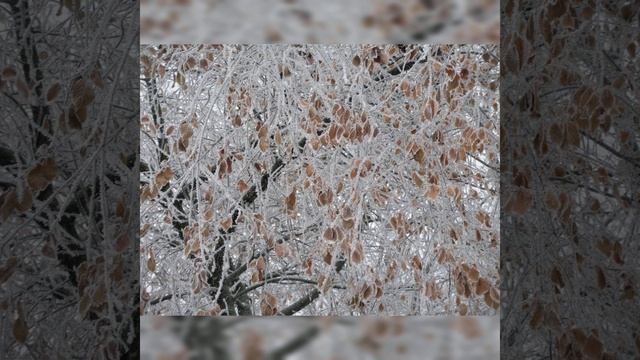 Boris Pasternak "Jedinstv`ennyje dni" / Борис Пастернак "Единственные дни" смотреть онлайн