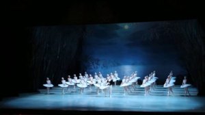 "Лебединое озеро" в Мариинке