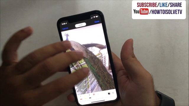iOS 15: How to Edit Photo Using Markup on iPhone or Use Markup
