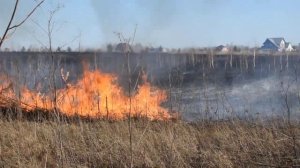 Ландшафтный пожар. Работа пожарной машины АРС-14 на шасси ЗИЛ-131.