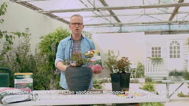Обзор «Удобрение для роз "Pokon", длительного действия, 900 г» смотреть онлайн