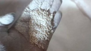 Обзор зернодробилки STURM