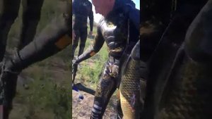 Самый большой сазан