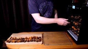 Вяленая Хурма в Домашних условиях с дегидратором RAWMID Modern RMD 10