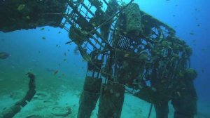 Слон на глубине 20 метров! Ныряем и смотрим как он там поживает!