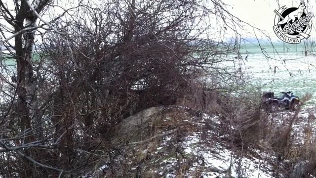 Дикая Норка смотреть онлайн