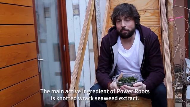 Применение стимулятора Power Roots от Plagron смотреть онлайн