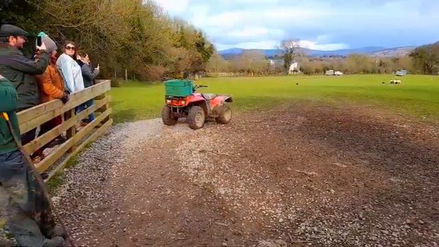Sheepdog Demonstration 🧑🌾🐑🐕