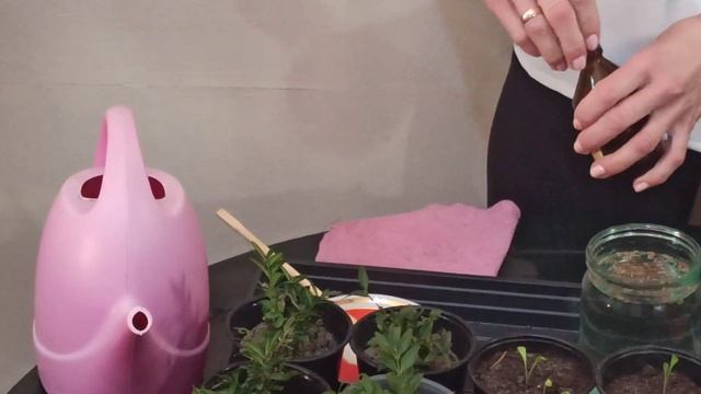 Перекись водорода для сада и огорода смотреть онлайн