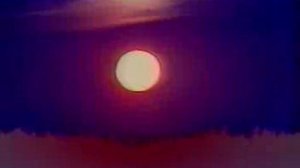 Секретные архивы НКВД. Адольф - Казнь после смерти