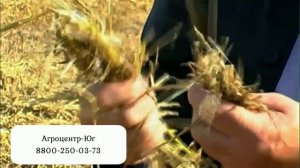 Измельчитель соломы комбайна НИВА, ДОН, ВЕКТОР