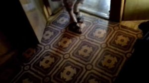 Кошка нападает на пацана!!!!! Жесть 18+