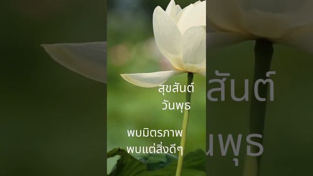 สุขสันต์วันพุธ พบมิตรภาพ พบแต่สิ่งดีๆ #สุขสันต์ #วันพุธ #พบมิตรดีมีธรรมยามเช้า  #พบแต่สิ่งดีๆ